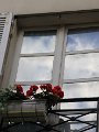 IMG_14318
