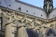 IMG_14356