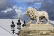 IMG_14737