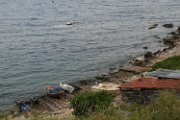 IMG_2043