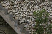 IMG_2045