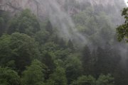 IMG_2178