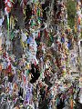 IMG_18899