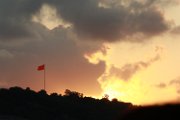 IMG_2351