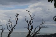 IMG_3975