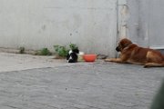 IMG_3997